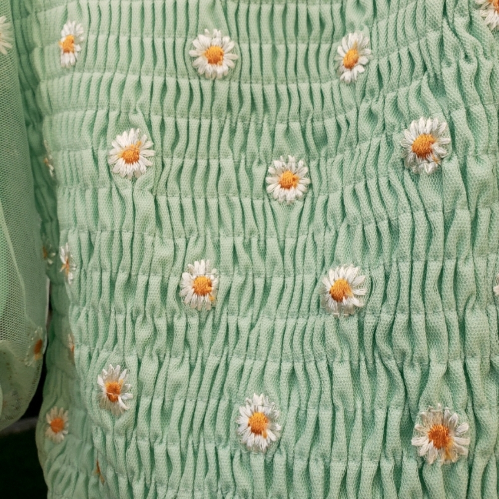 Mint green blouse with embroidered daisies